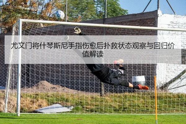 尤文门将什琴斯尼手指伤愈后扑救状态观察与回归价值解读